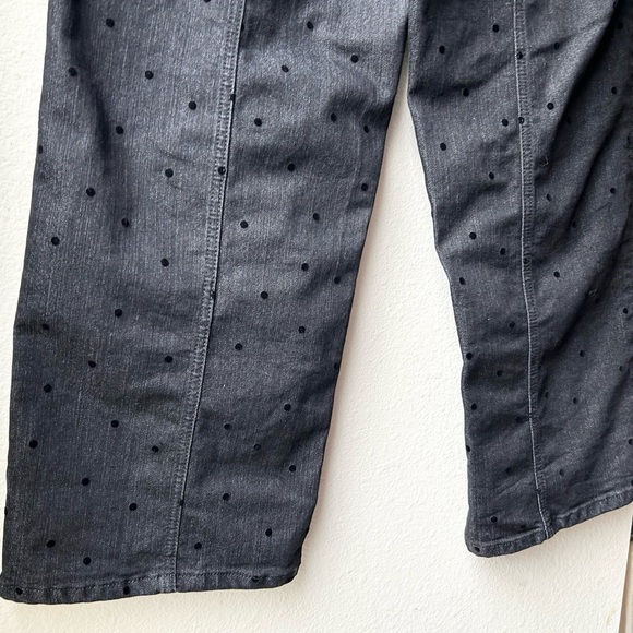 Pilcro and The Letterpress High Rise Wide Leg Polka Dot Jeans Sz 30 - Picture 12 of 15